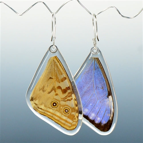 Blue Morpho Adonis Butterfly Top Wing Earrings