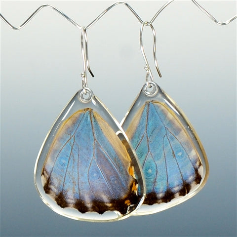 Blue Morpho Adonis Butterfly Earrings