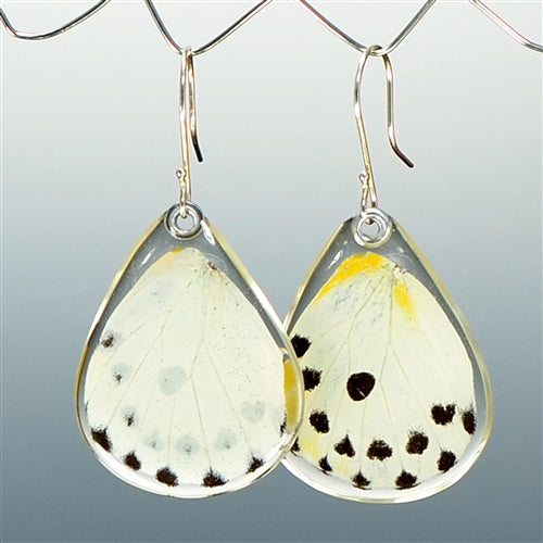 Calypso Caper White Butterfly  Earrings