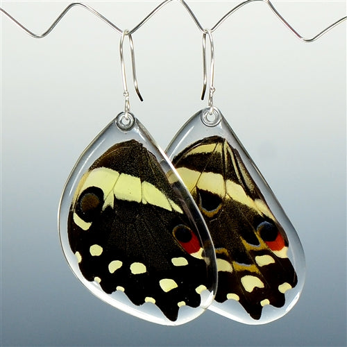 Christmas Butterfly Earrings