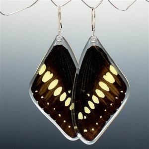 Emperor Swallowtail Butterfly Earrings