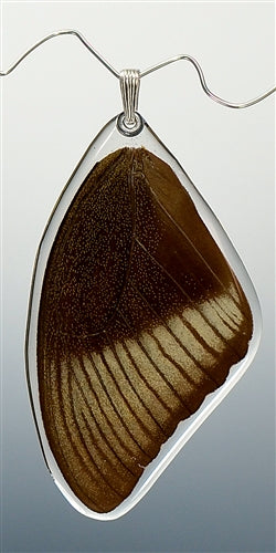 Peacock Swallowtail Butterfly Top Wing Pendant