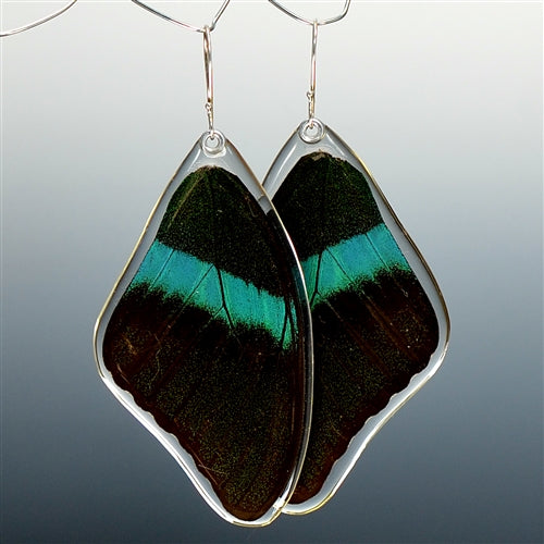Peacock Swallowtail Butterfly Top Wing Earrings