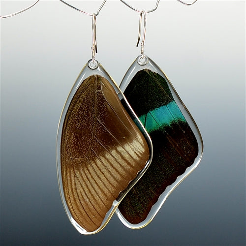 Peacock Swallowtail Butterfly Top Wing Earrings