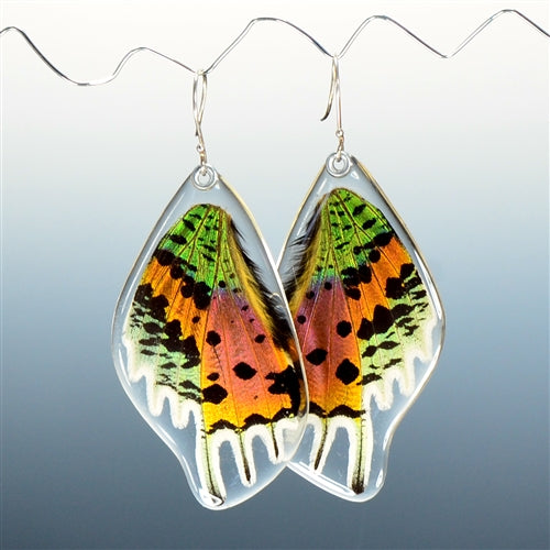 Sunset Moth Bottom Wing Earrings
