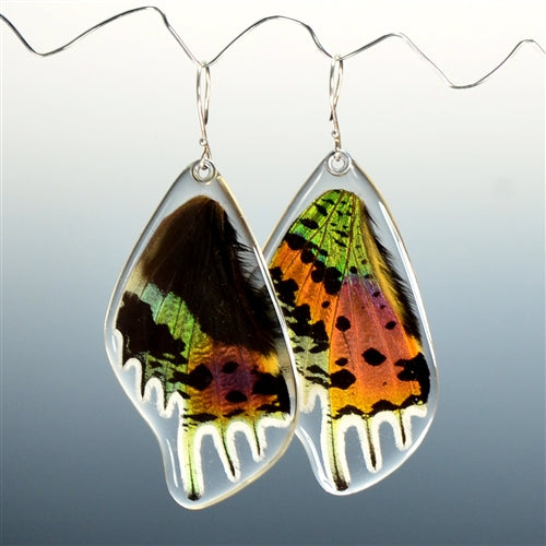 Sunset Moth Bottom Wing Earrings