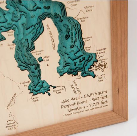 Custom 3D 16" x 20" Wood Lake Map