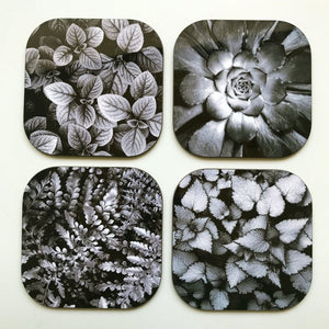 Black/White Nature Coaster Set