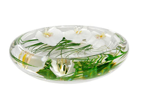 Large White Phalaenopsis Orchid Bowl