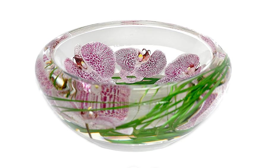 Small Spotted  Phalaenopsis Orchid Bowl