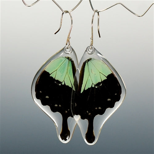 Apple Green Swallowtail Butterfly Earrings