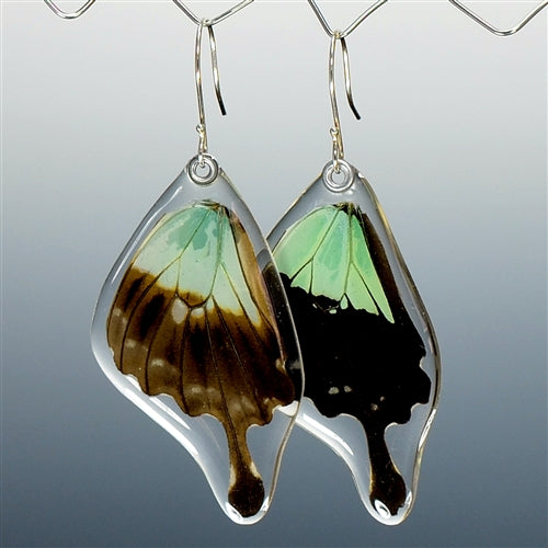 Apple Green Swallowtail Butterfly Earrings