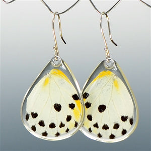 Calypso Caper White Butterfly  Earrings