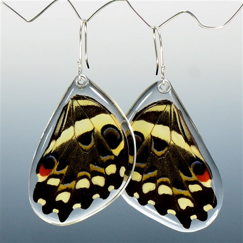 Christmas Butterfly Earrings