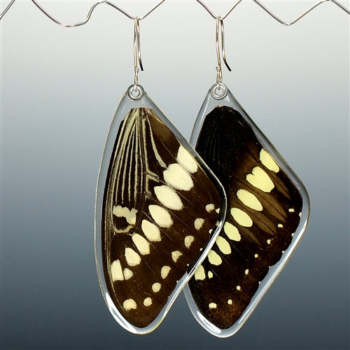 Emperor Swallowtail Butterfly Earrings