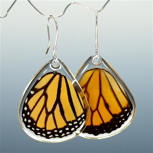 Textured Gold & Real Monarch Butterfly Wing Earrings – StephaNiche Designs