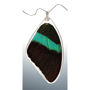 Peacock Swallowtail Butterfly Top Wing Pendant