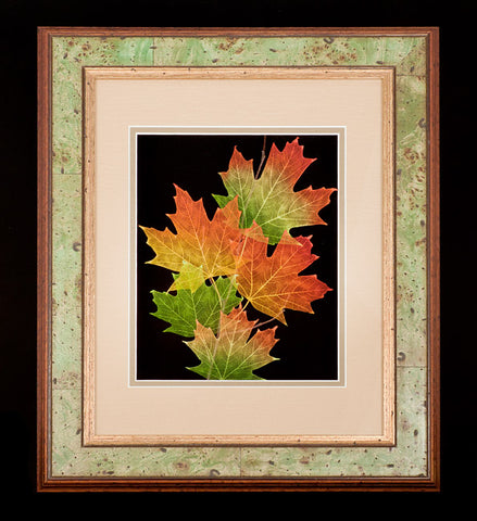 Maple Leaves 11 x 14