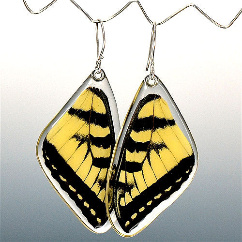 Tiger Swallowtail Butterfly Top Wing Earrings