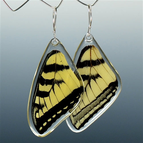 Tiger Swallowtail Butterfly Top Wing Earrings